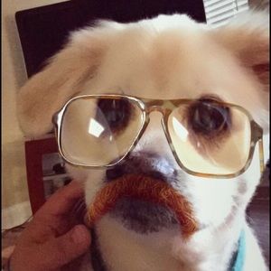 Meet your Posher, Rob