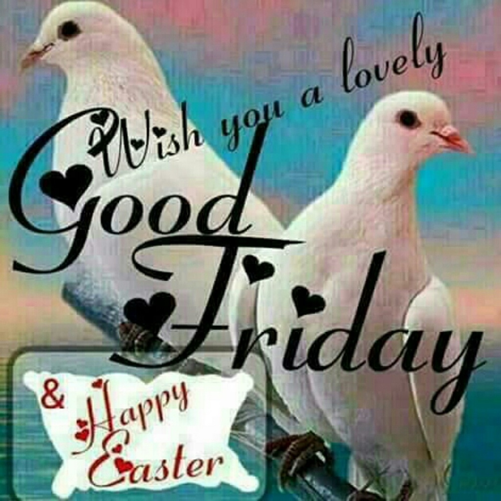 Meet your Posher, Cynthia