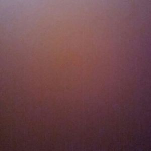 Meet your Posher, Troy