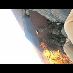 Meet your Posher, Kaleb