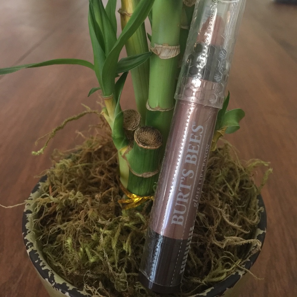 *** SOLD *** Burts Bees Gloss Lip Crayon in Outback Oasis