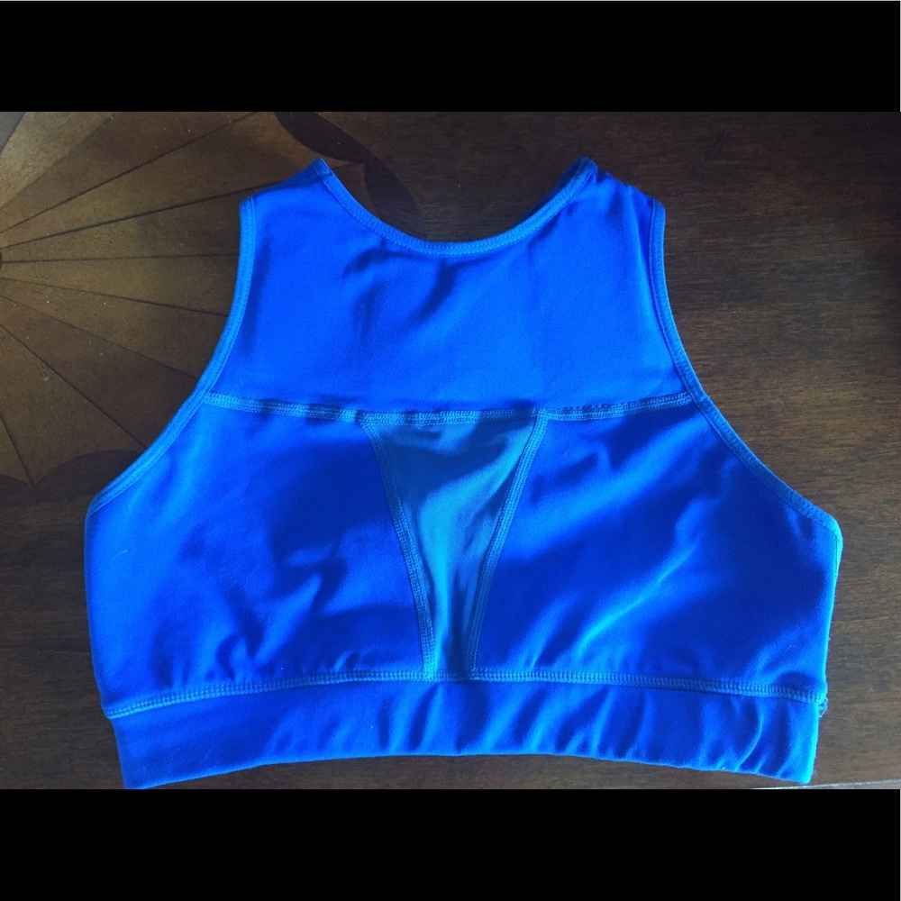Chestee sports bra