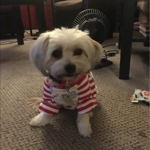 Meet your Posher, Susann