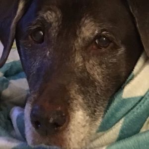 Meet your Posher, Traci