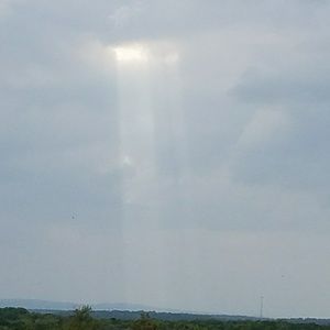 Meet your Posher, Simon