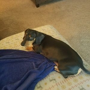 Meet your Posher, Lori