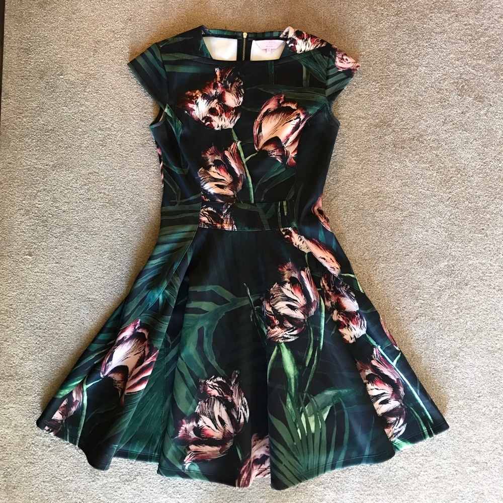 Ted Baker skater dress