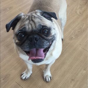 Meet your Posher, Emily