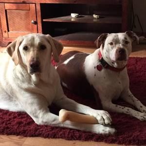 Meet your Posher, Stacy