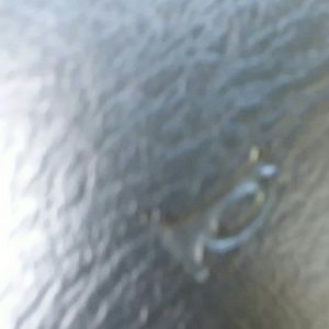 Meet your Posher, Albert