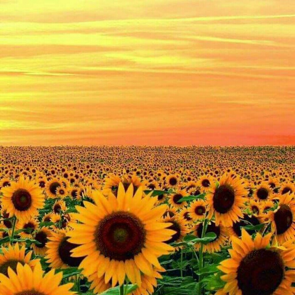 Meet your Posher, Vicki