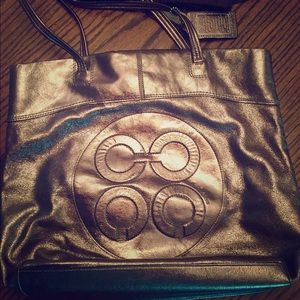 Matalic coach bag