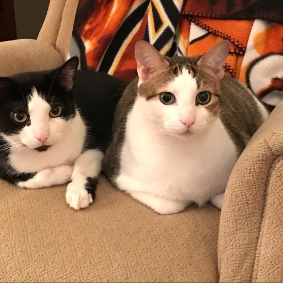 Meet your Posher, Julie - Picture 5 of 9