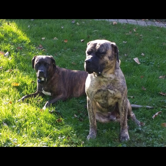 Meet your Posher, Julie - Picture 8 of 9