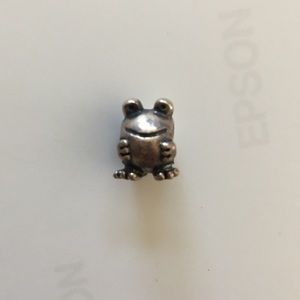 Frog pandora charm