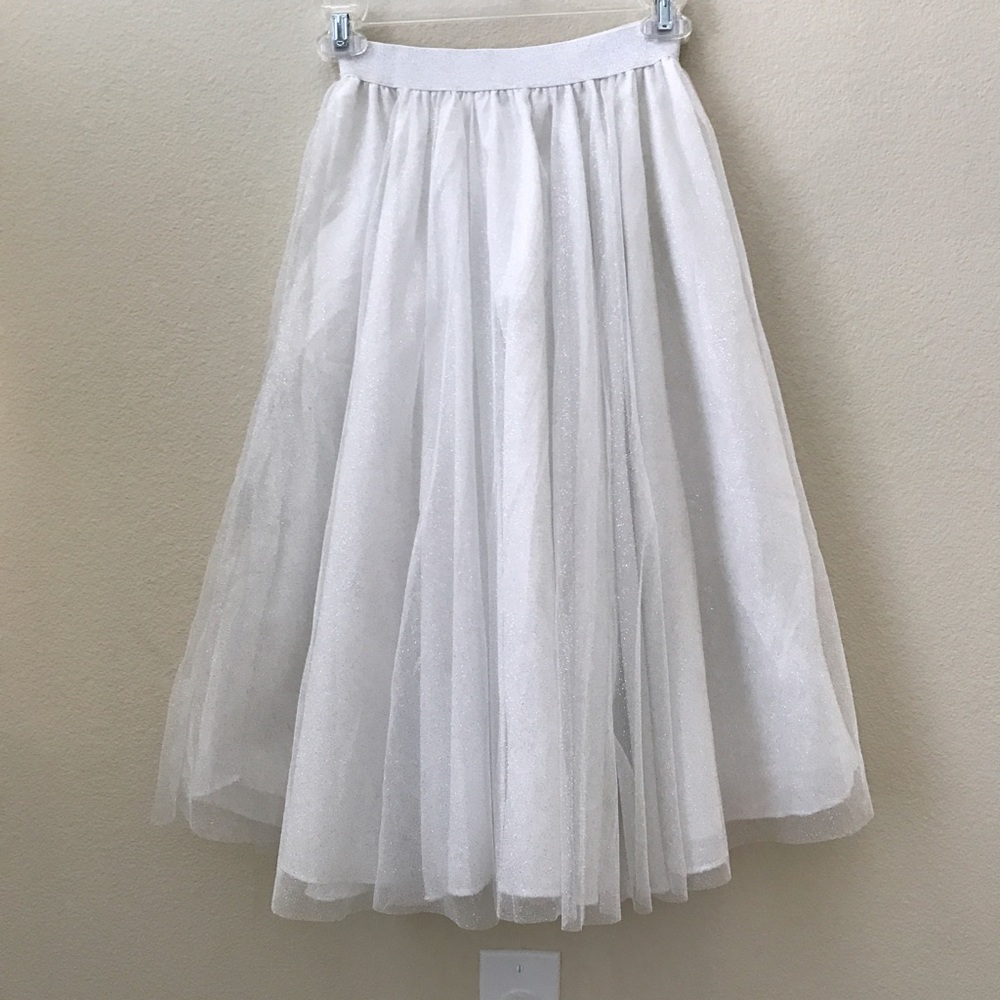 Zara Tutu Skirt
