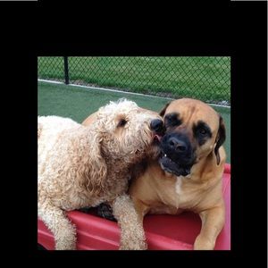 Meet your Posher, Alexis