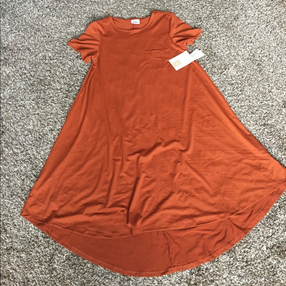 NWT LulaRoe Carly dress