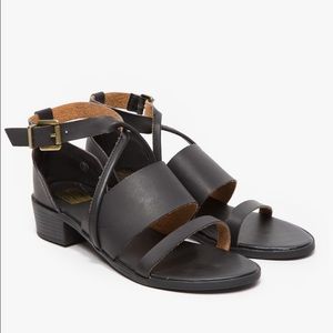 Need Supply Devon Sandals