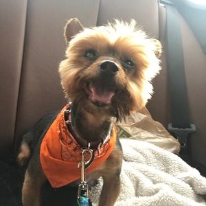 Meet your Posher, Rubi