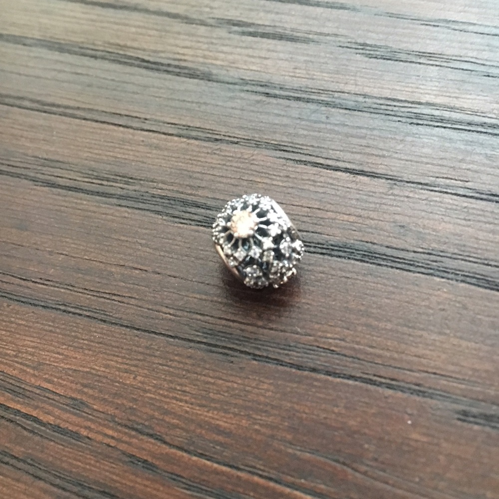 Pandora charm
