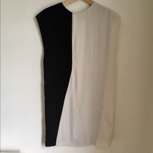 H&M Mod Shift Dress