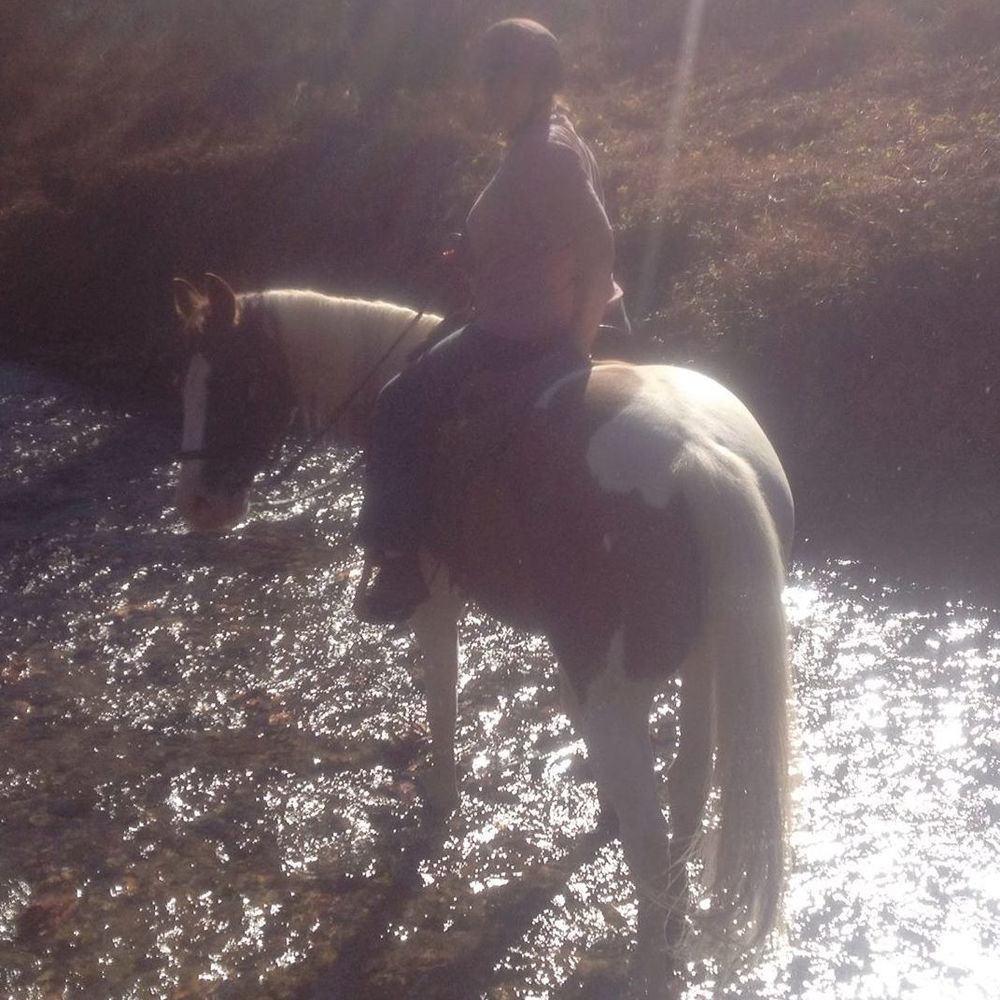 Meet your Posher, Robin