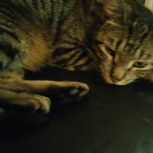 Meet your Posher, Elsa