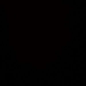 Meet your Posher, Grayce