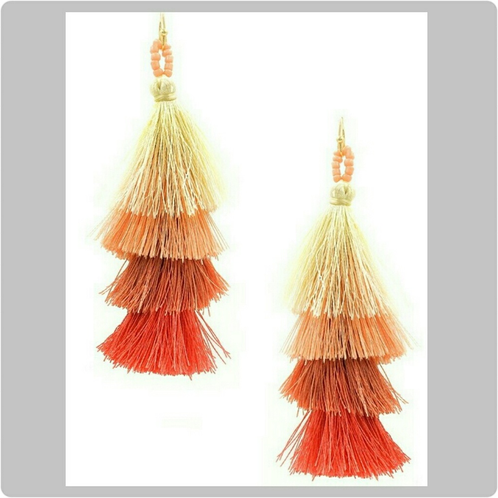 Tassel Statement Earrings