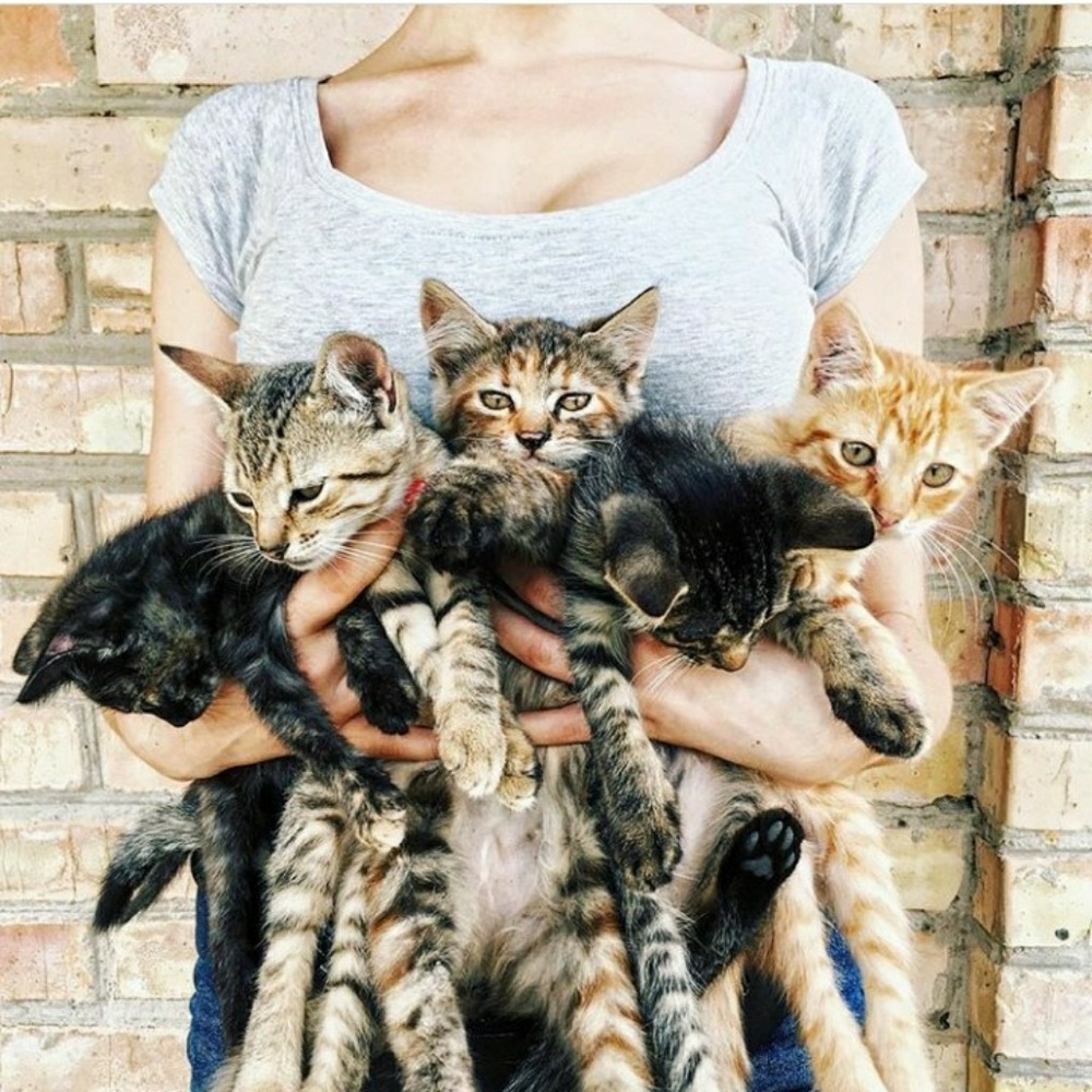 Meet your Posher, Daria