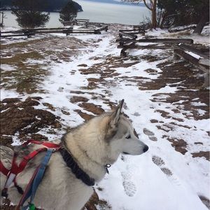 Meet your Posher, Bert