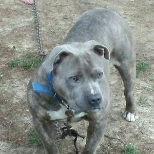 Meet your Posher, Winfred