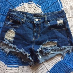 Pacsun P.S Erin Wasson Shorts (NWOT)