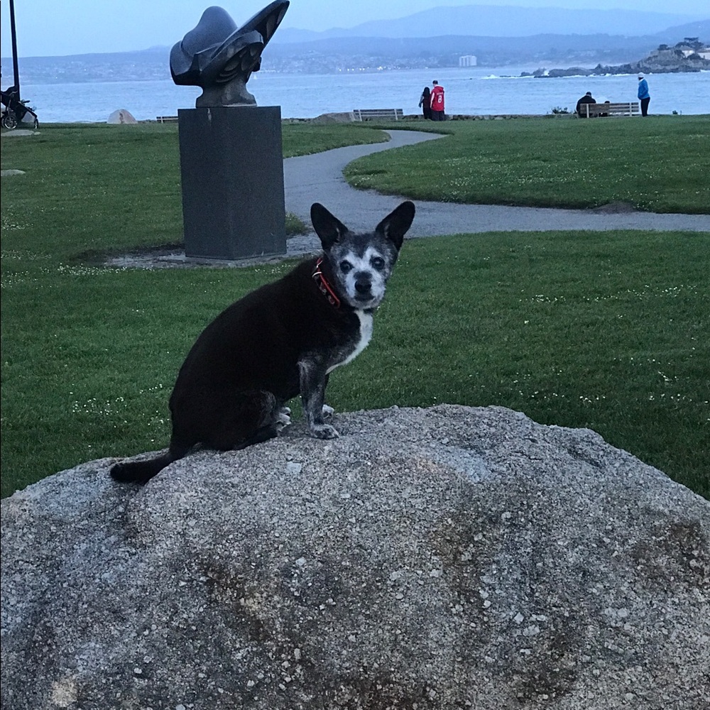 Meet your Posher, Carmen