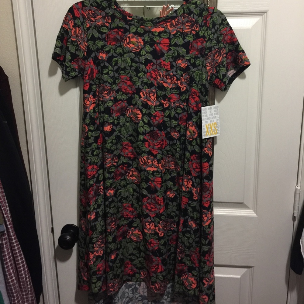 LulaRoe HTF Floral print XXS Carly EUC 🦄