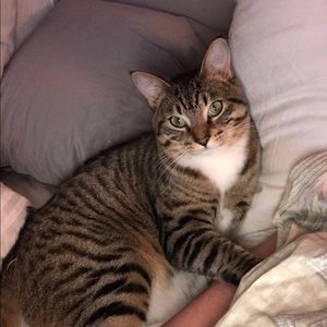 Meet your Posher, Nan