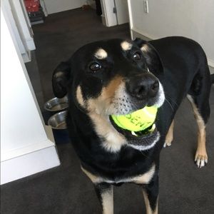 Meet your Posher, Jamie