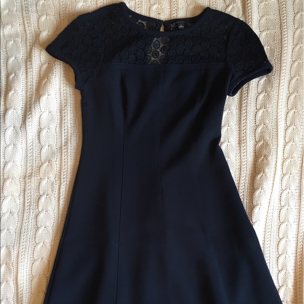 Navy blue Ann Taylor Dress