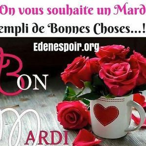 Meet your Posher, Cleanne