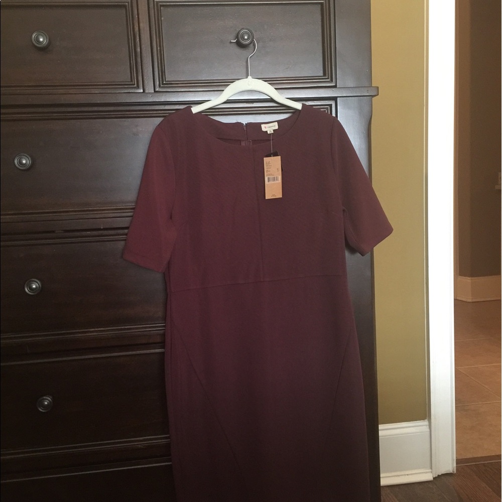 NWT! Cremieux plum color dress