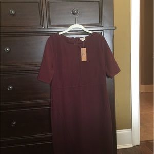 NWT! Cremieux plum color dress