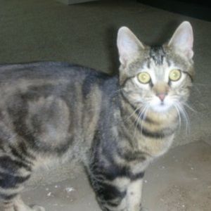 Meet your Posher, Zee