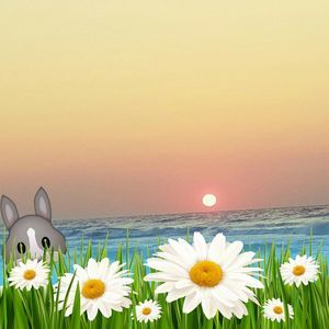 Meet your Posher, Vickie