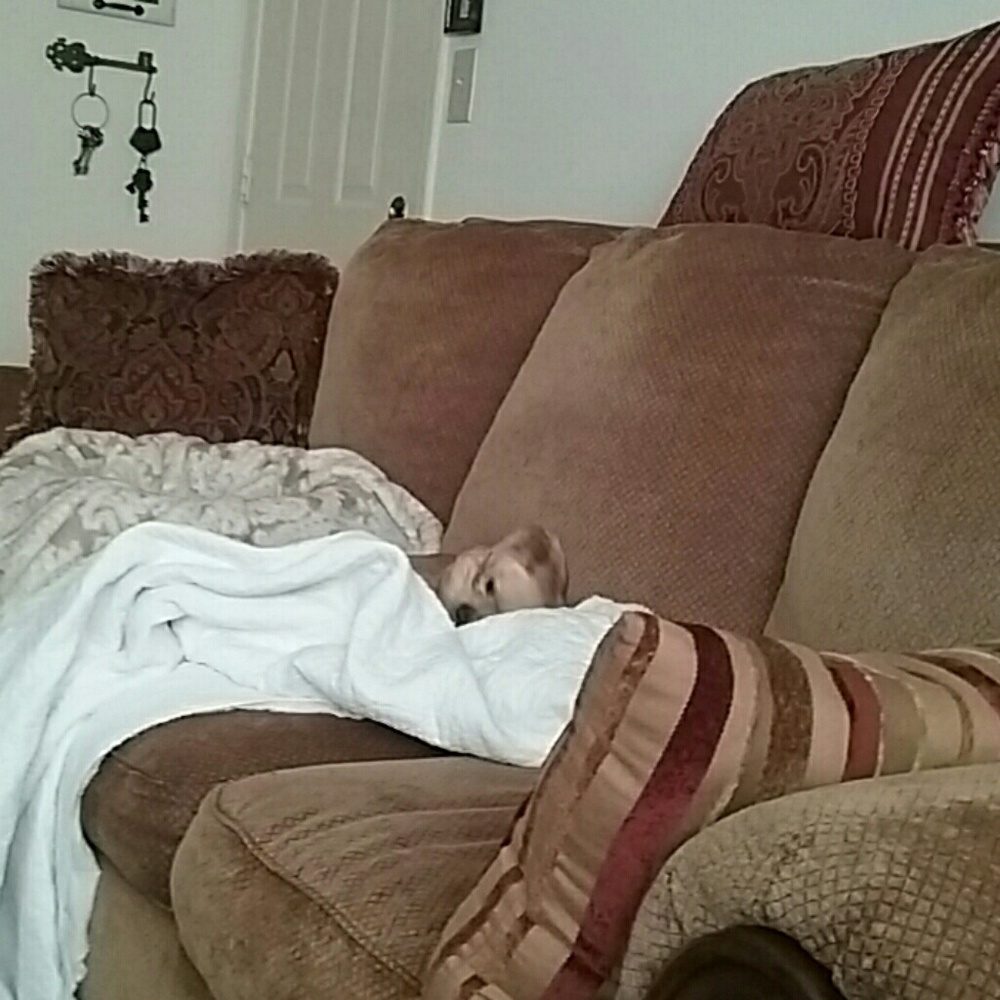 Meet your Posher, Cindy