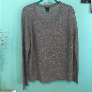 Ann Taylor sweater