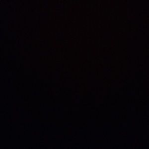 Meet your Posher, Sadie