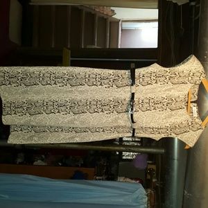 Calvin Klein Winter Dress w/ belt