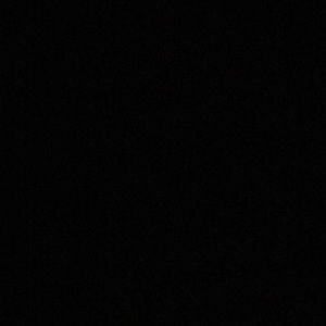 Meet your Posher, Riley