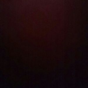 Meet your Posher, Sophia